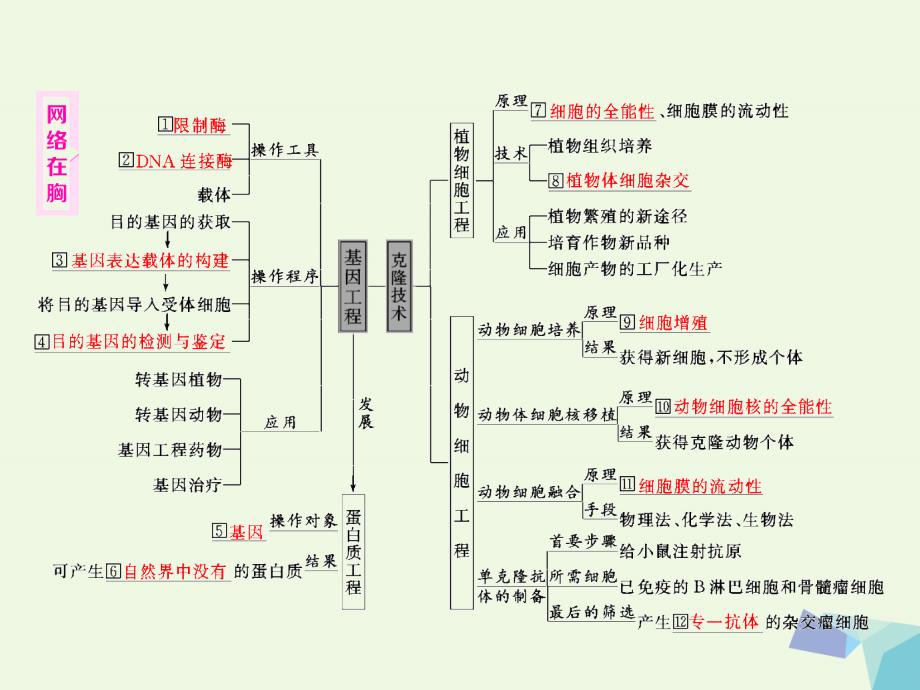 （通用版）高考生物二轮复习第一部分专题六生物科技系统第1讲基因工程与克隆技术课件_第2页