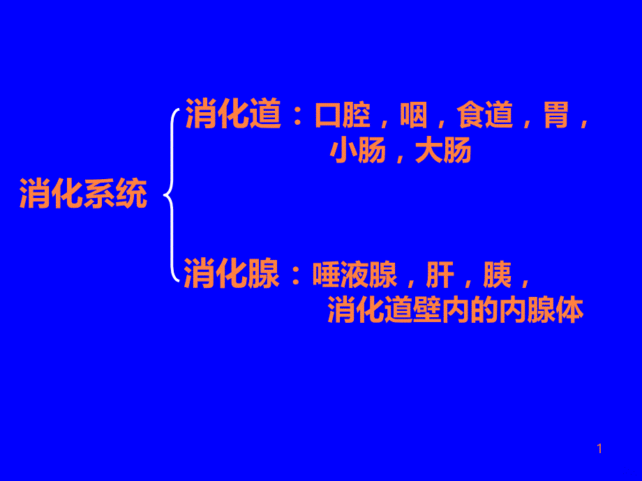 消化系统生理学ppt课件_第1页