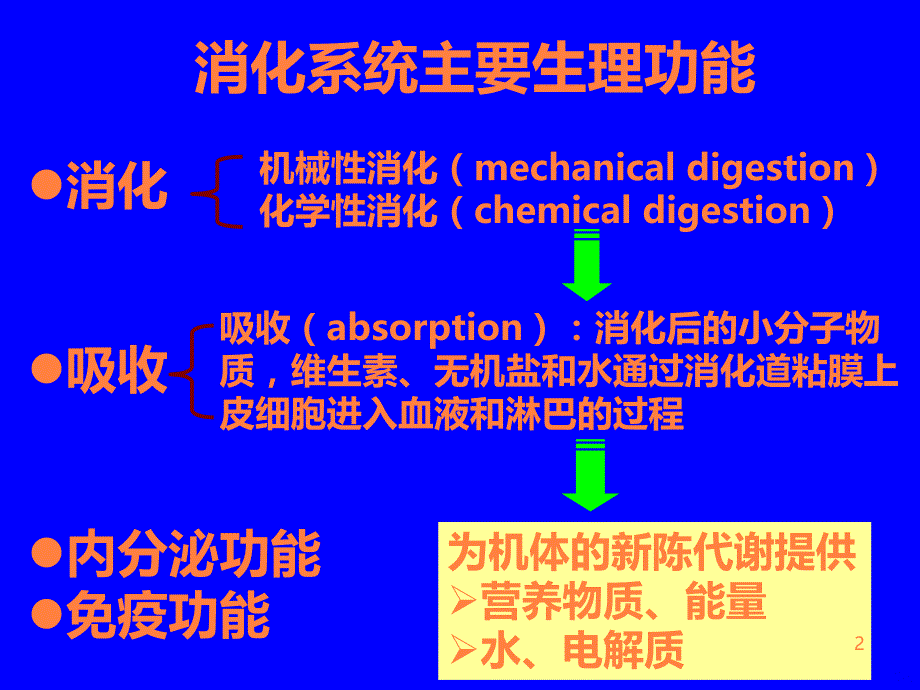 消化系统生理学ppt课件_第2页