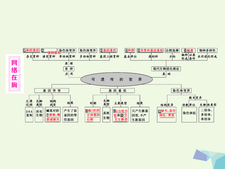 （通用版）高考生物二轮复习第一部分专题二基因系统第3讲基因系统的发展变化—变异与进化课件_第2页