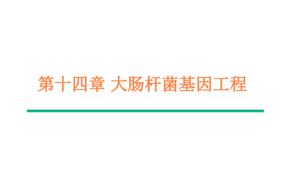 大肠杆菌基因工程ppt课件_第1页