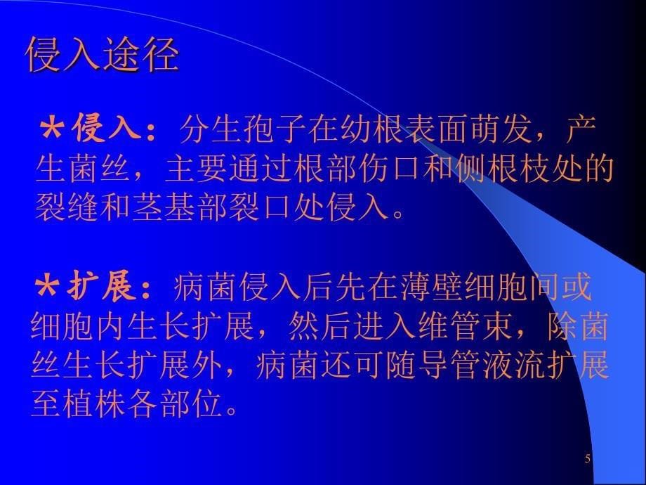 根部及维管束病害ppt课件_第5页