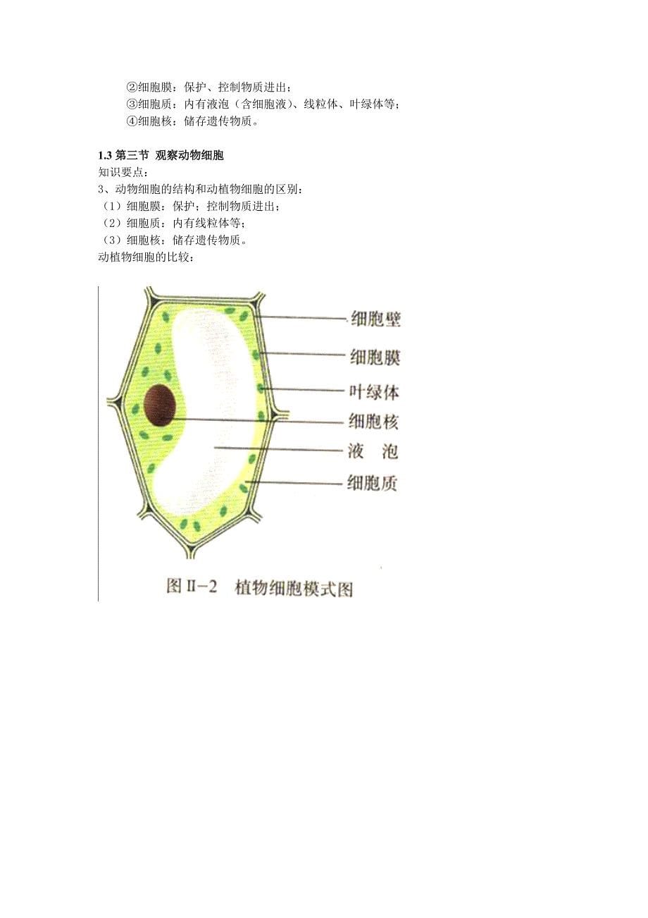 人教版生物七年级上册知识点(复习提纲)汇总_第5页