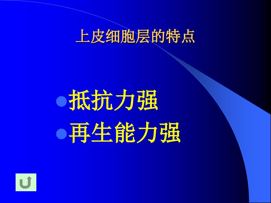 视器的解剖及生理上课讲义_第4页