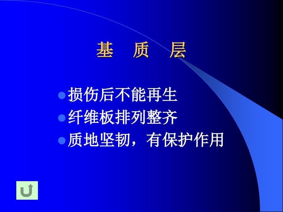 视器的解剖及生理上课讲义_第5页