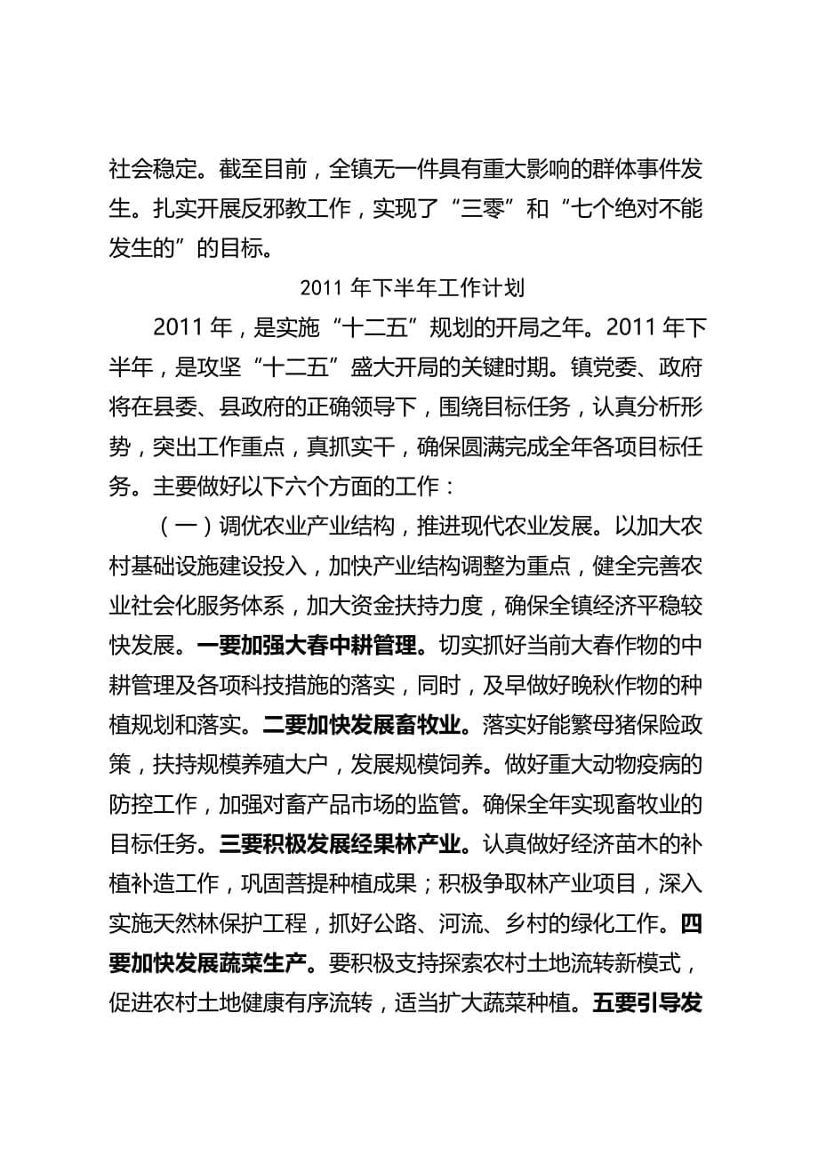 2020年（工作计划）某人民政府上半年工作总结与下半年工作计划(doc 9页)_第5页