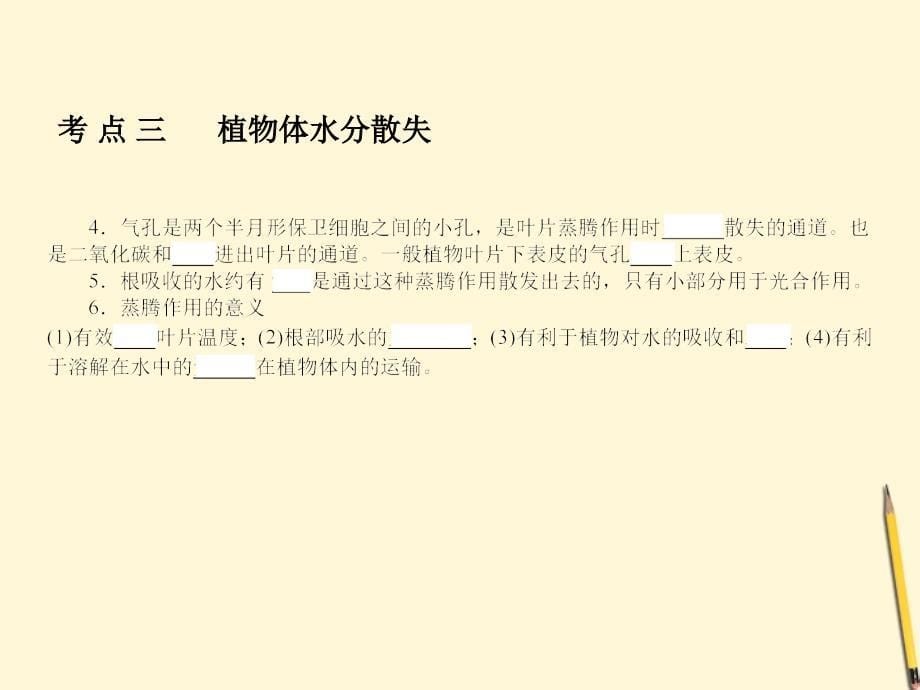 中考生物一轮复习 专题（4）绿色植物的新陈代谢课件.ppt_第5页