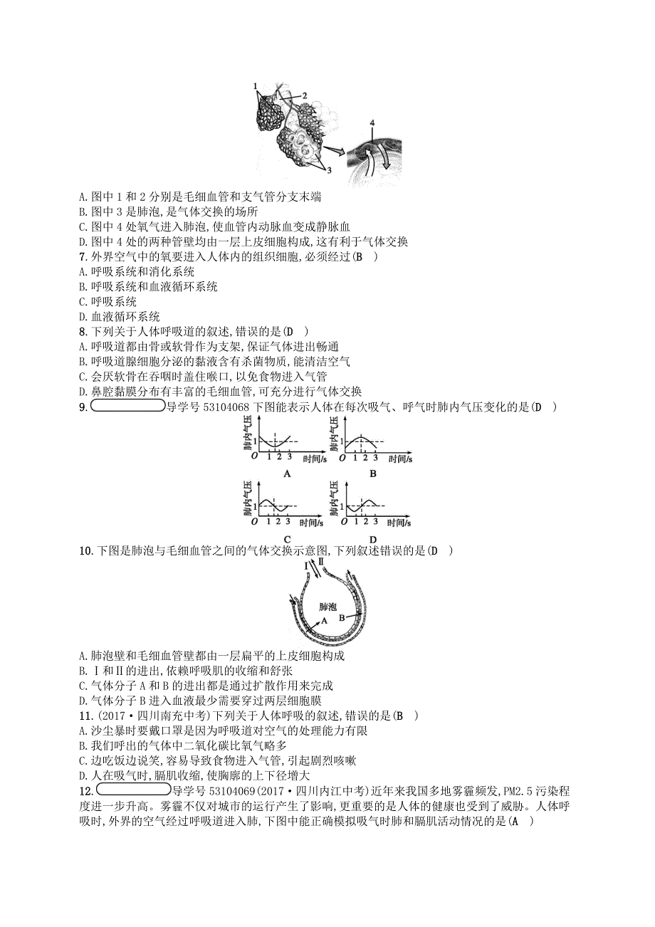 七年级生物下册第10章《人体的能量供应》阶段测评三（新版）北师大版_第2页