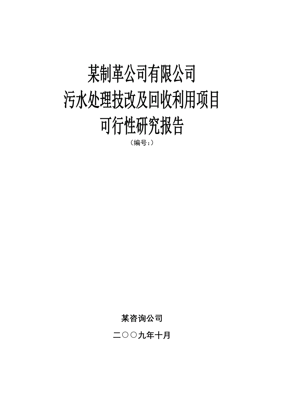 《精编》某公司污水处理技术及可行性研究报告_第1页