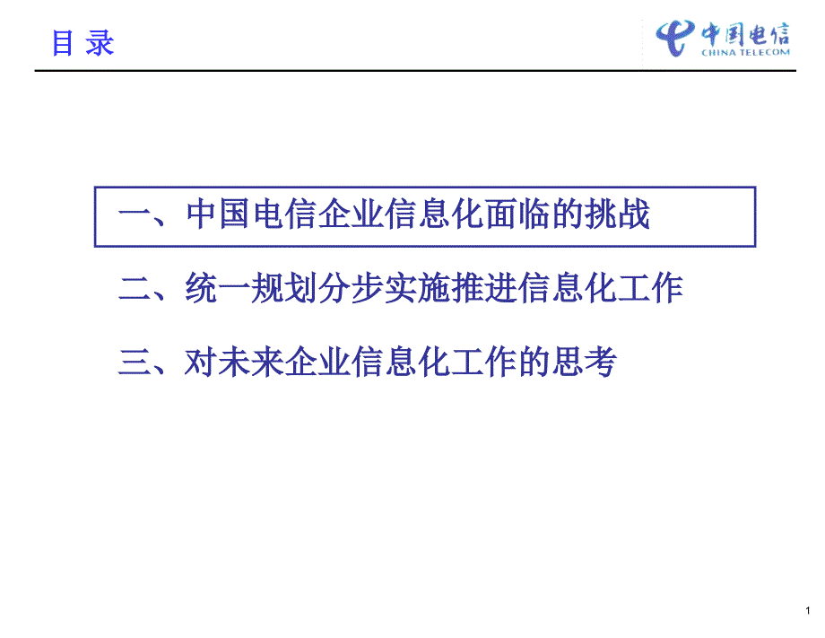 中国电信信息化经验交流_第2页