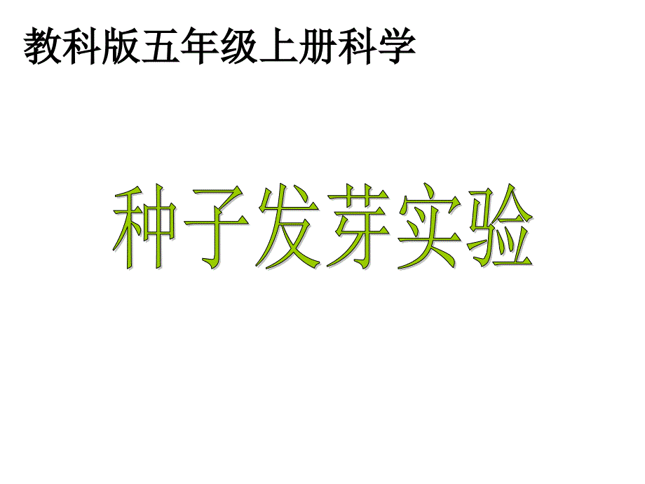 五年级科学上册 种子发芽实验 2课件 教科版_第1页