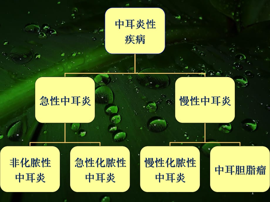 临床医学讲解习题考题分泌性中耳炎_第1页