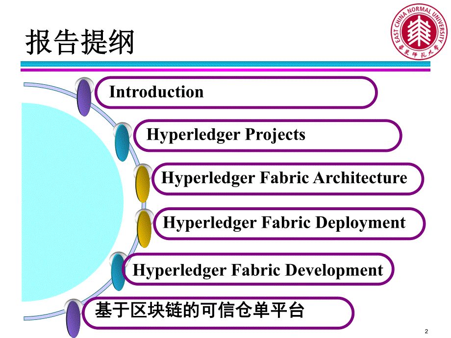 Hyperledger Fabric 1.0 架构与开发.pdf_第2页