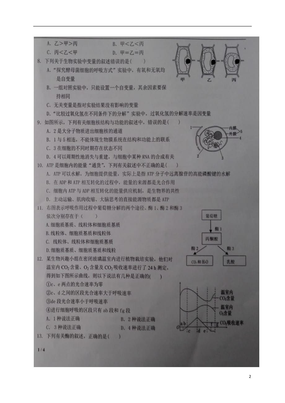 高二生物上学期第四次月考（期末）试题（扫描版A卷无答案）_第2页