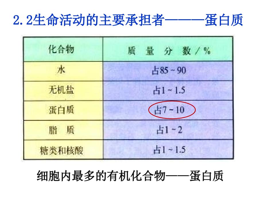 必修一2.2蛋白质生命活动的承担者教案资料_第2页