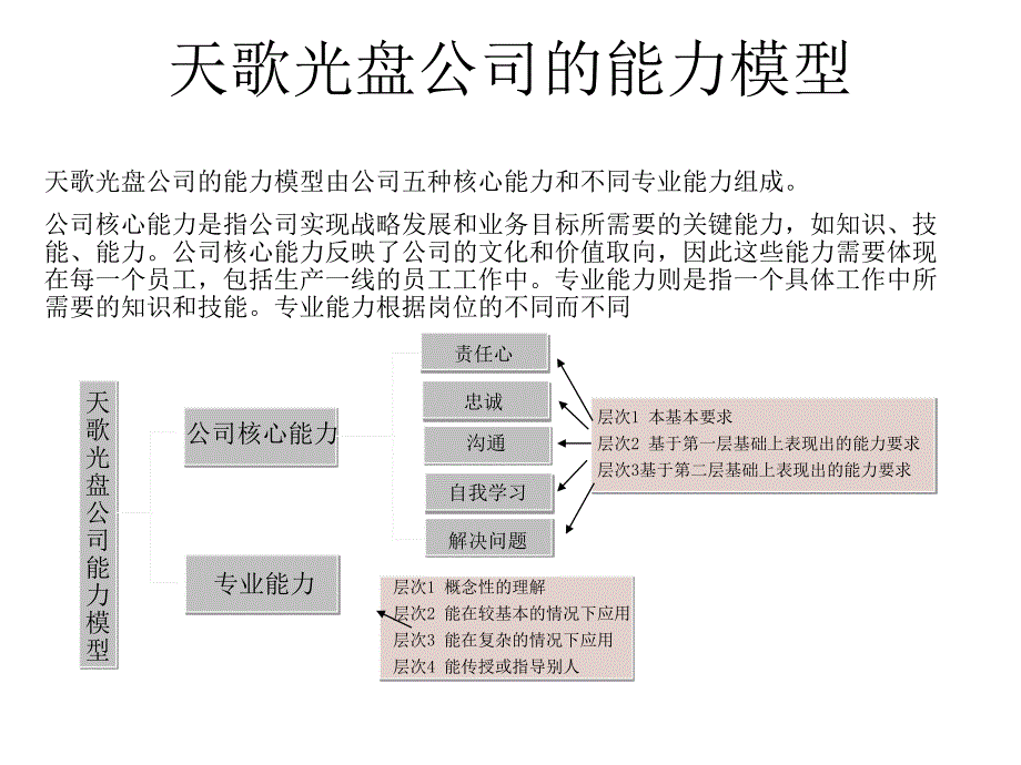 《精编》天歌科技能力模型和绩效管理流程_第3页