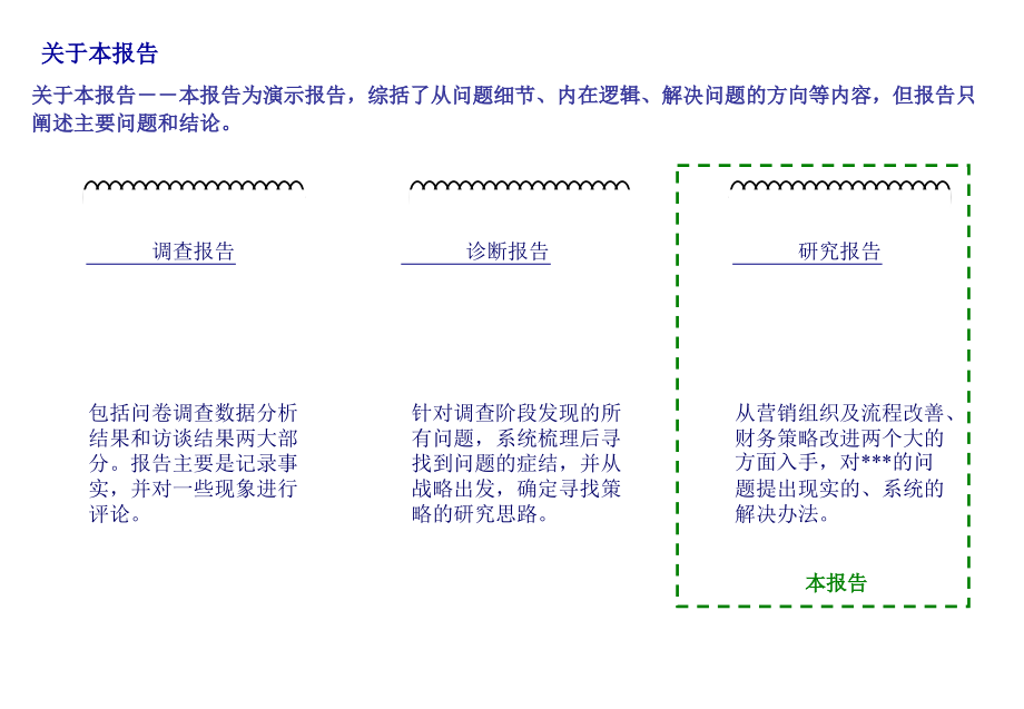 《精编》某科技公司营销体系发展项目研究报告_第2页