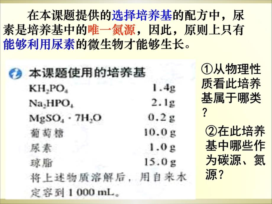 2.2《土壤中分解尿素的细菌的分离与计数》课件冯惠坚知识讲稿_第3页