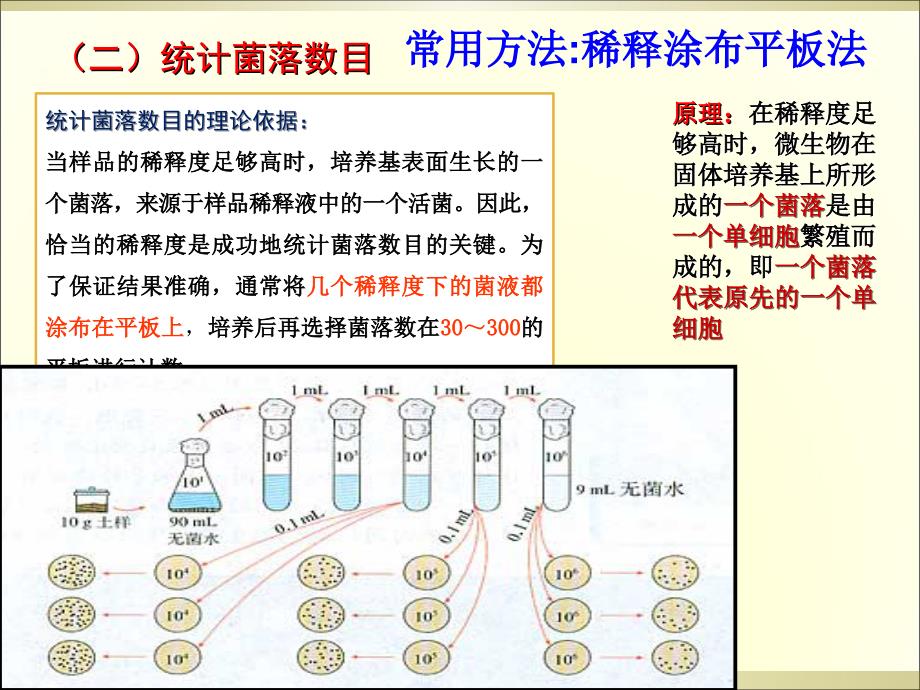 2.2《土壤中分解尿素的细菌的分离与计数》课件冯惠坚知识讲稿_第4页