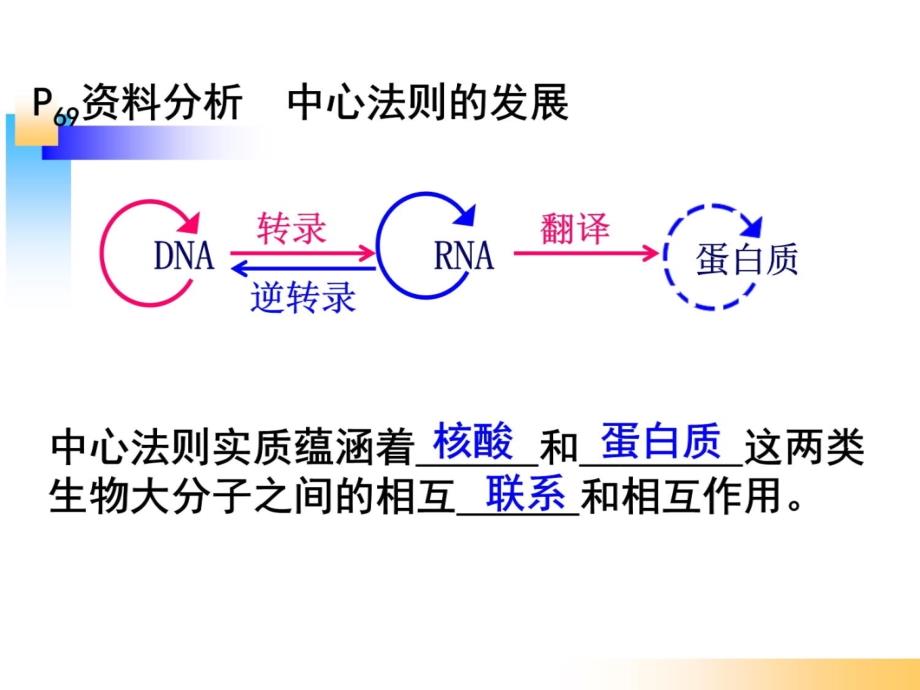 4.2《基因对性状的控制》课件蓝素华上课讲义_第3页
