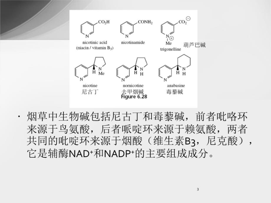生物碱-6.3-烟酸来源教学内容_第3页