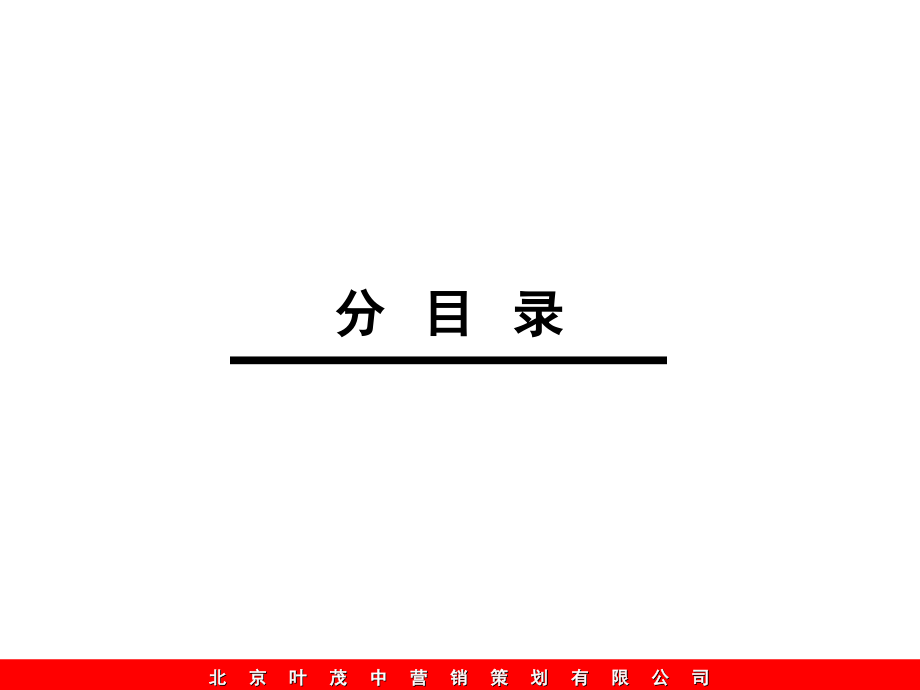 《精编》某炉业公司整合营销策划案_第4页