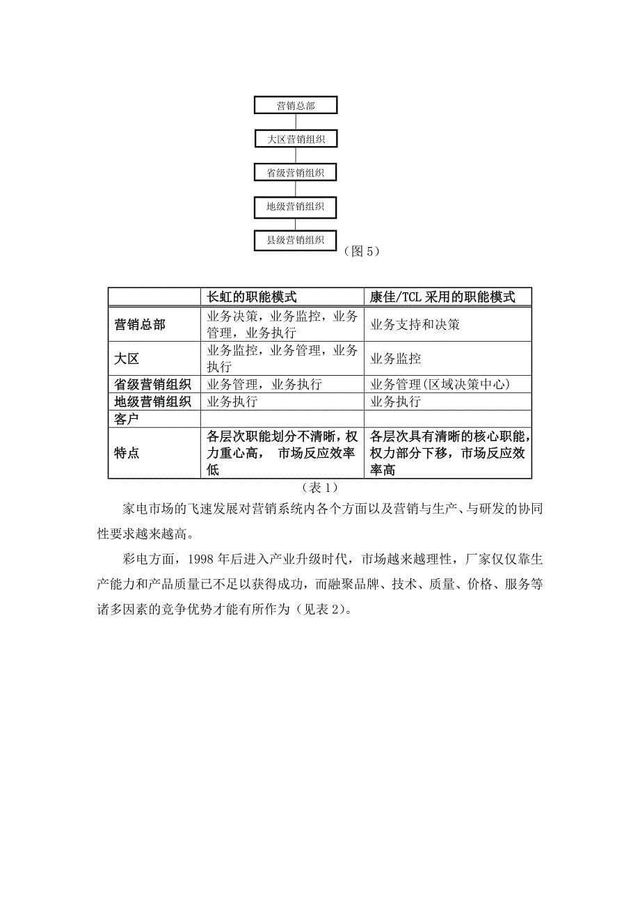 《精编》某电器公司营销组织架构存在的问题与案例点评_第5页