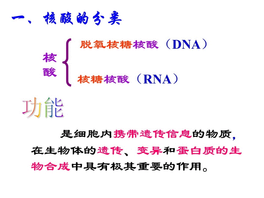 2.3遗传信息的携带者-核酸黄玉婵知识讲稿_第3页