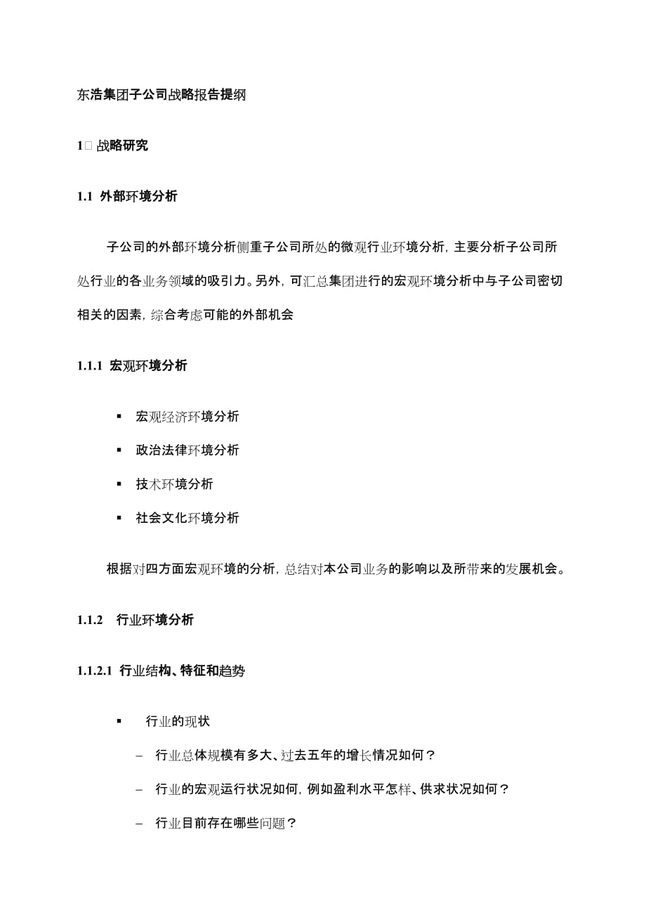 《精编》东浩集团战略报告提纲_子公司_第1页