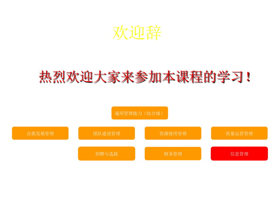 《精编》信息系统设计管理的原理_第2页