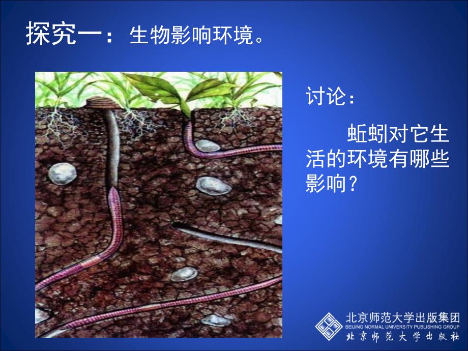 1.2生物与环境的相互影响(课堂教学版)2上课讲义_第4页