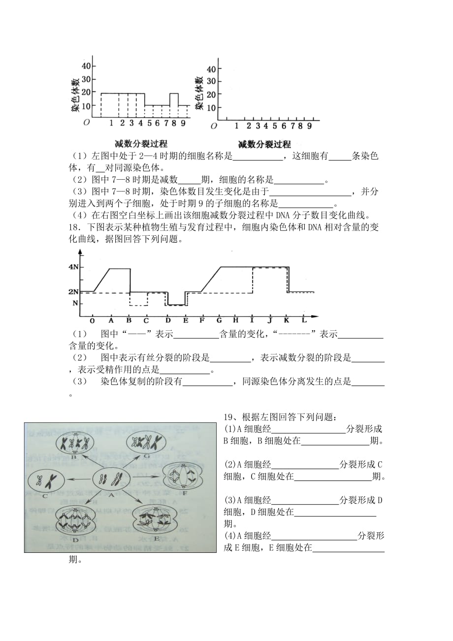 《减数分裂和受精作用》同步练习.doc_第3页