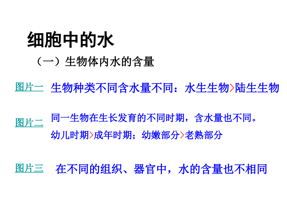 2.5细胞中的无机物课件新人教版必修1培训课件_第4页