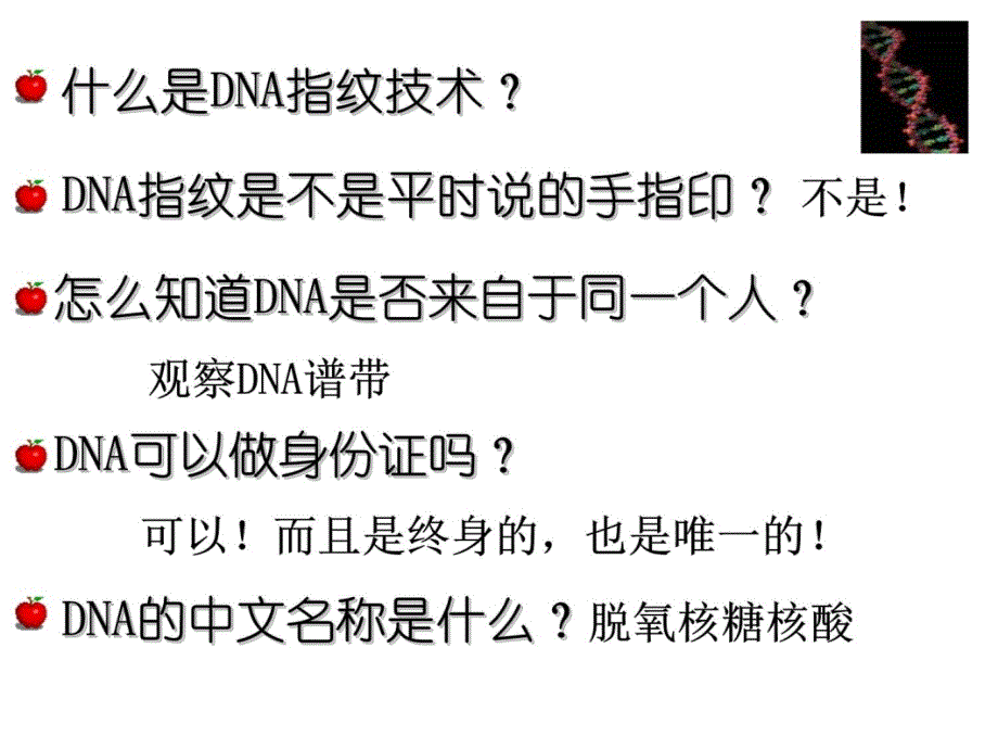 2.3遗传信息的携带者-核酸课件殷宝志教学文案_第3页