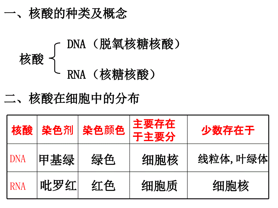 2.3遗传信息的携带者-核酸课件殷宝志教学文案_第4页