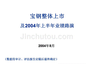 《精编》宝钢整体上市及某年上半年业绩路演