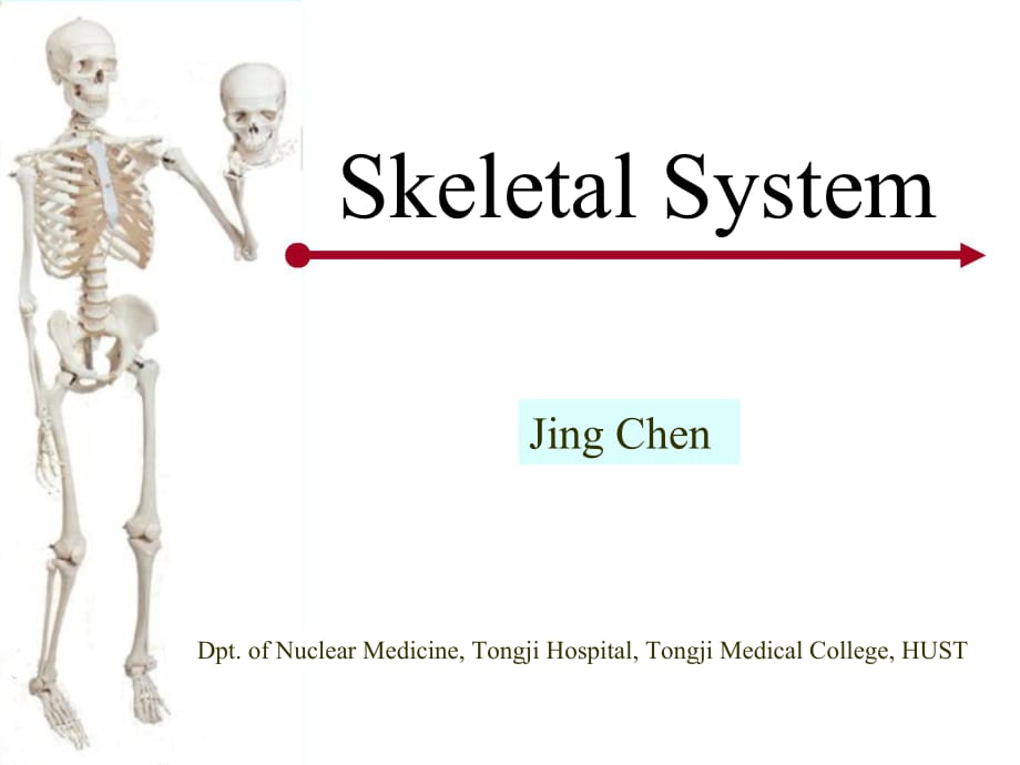 临床医学讲解习题考题bone20141006（备）_第1页