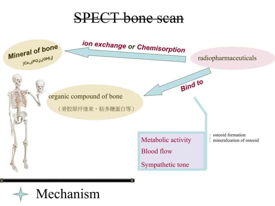 临床医学讲解习题考题bone20141006（备）_第3页