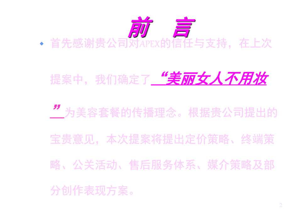 《精编》各知名企业的经典营销方案汇总60_第2页