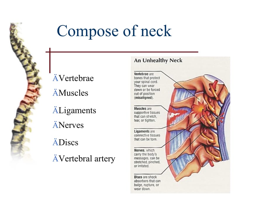 临床医学讲解习题考题neck pain_第3页