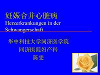 临床医学讲解习题考题德文妊娠合并心脏病