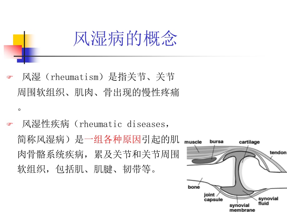 临床医学讲解习题考题风湿性疾病_第3页