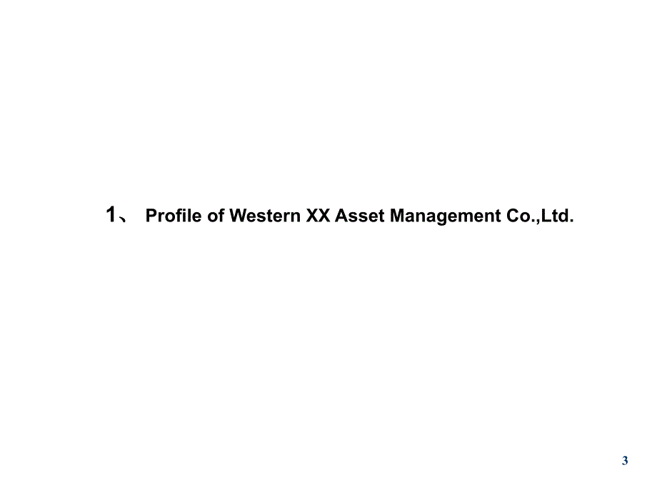 《精编》Western XX FMCBusiness Plan_第3页