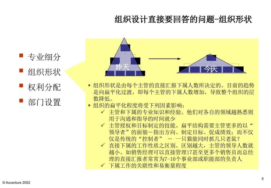 《精编》组织设计的目的与问题分析_第5页