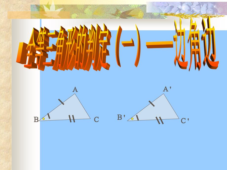 12.2.2-全等三角形的判定(边角边)教案资料_第1页