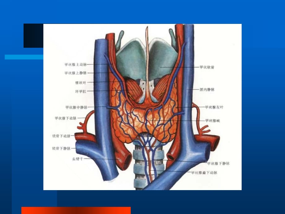 临床医学讲解习题考题气管切开术_第4页