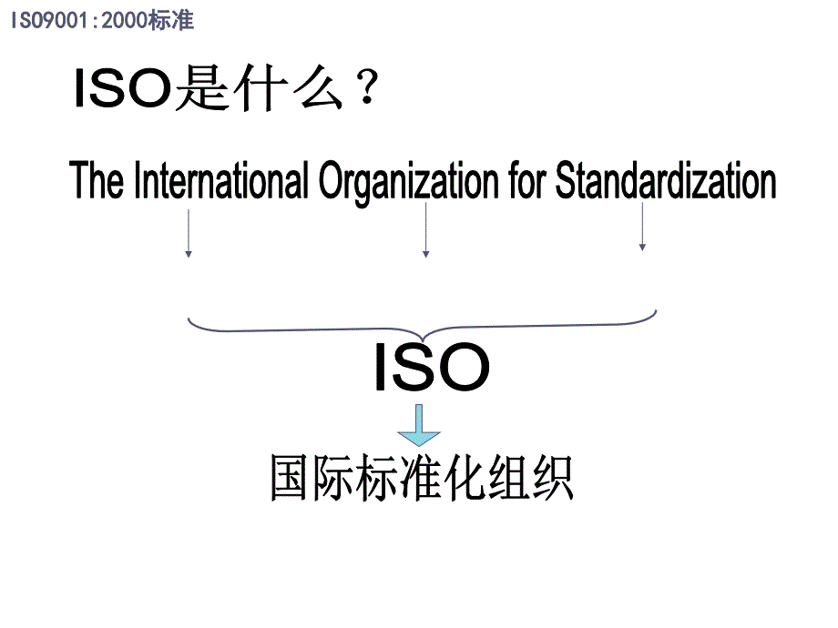 《精编》iso9000质量管理体系6_第4页