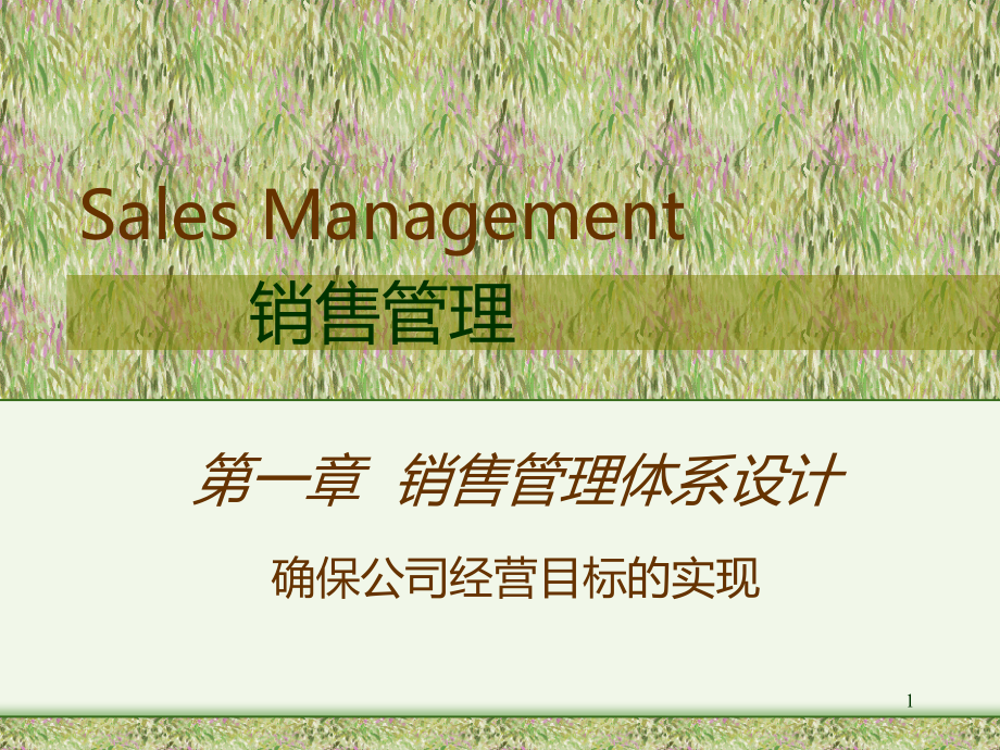 销售管理体系方案说课材料_第1页