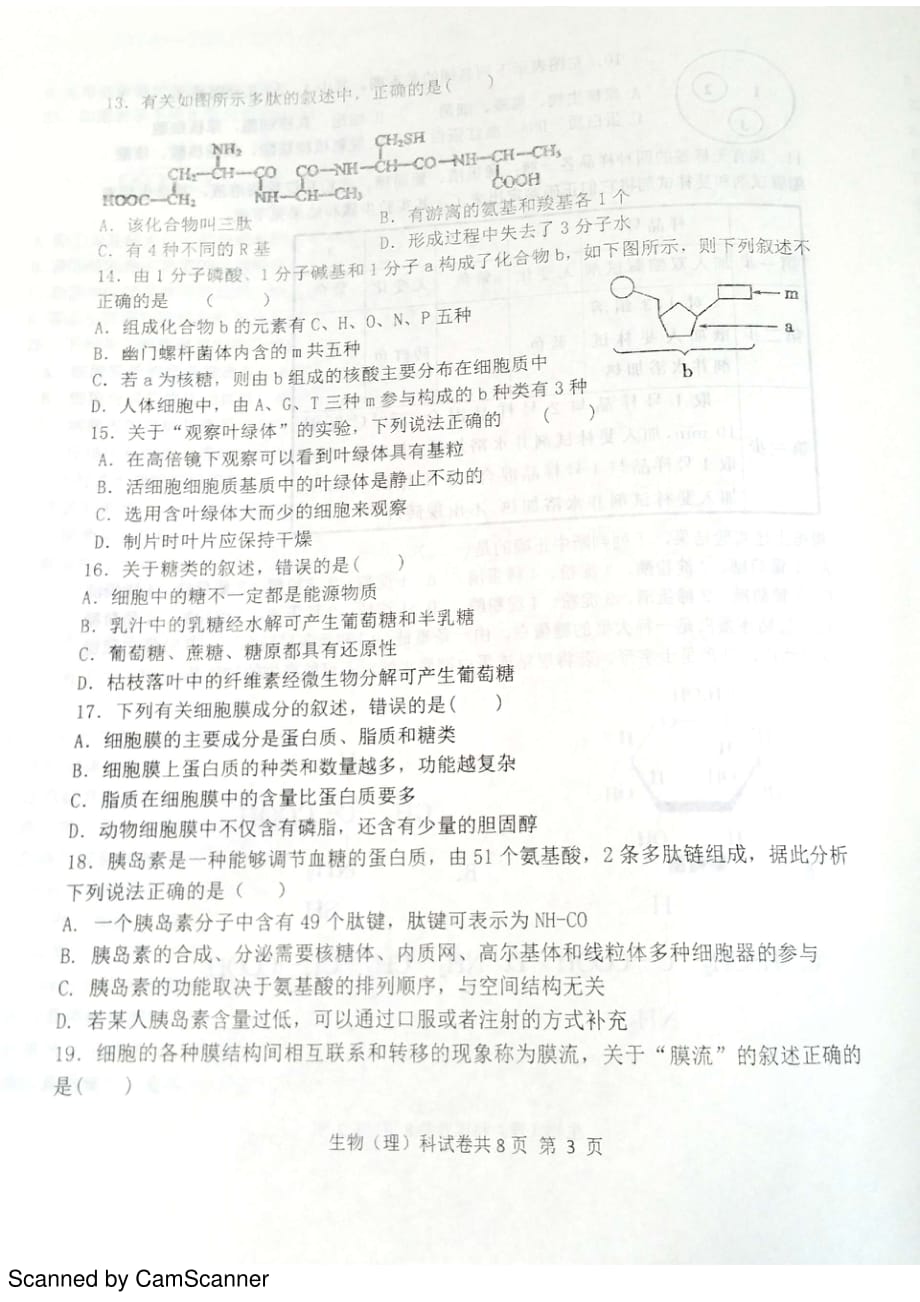 辽宁省学年高一生物上学期期中试题（PDF无答案）_第3页