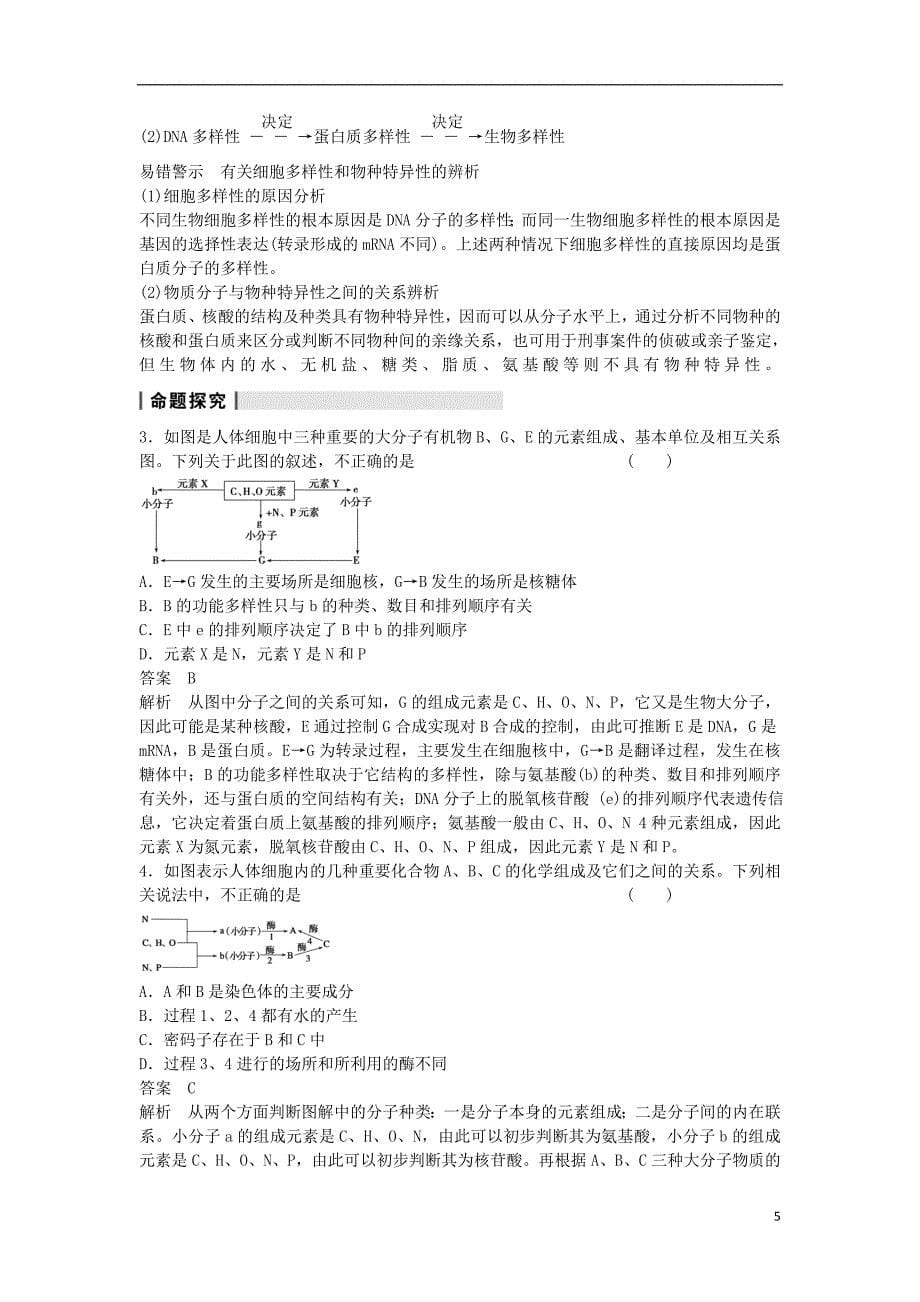 2014届高三生物一轮复习 1.4核酸、细胞中的糖类和脂质教学案 新人教版.doc_第5页